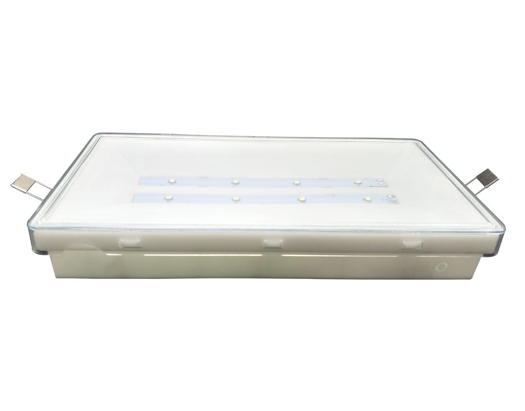 Iluminação LED Iluminação de emergência impermeável IP65 Localização molhada 3 horas 3 anos Garantia L212N