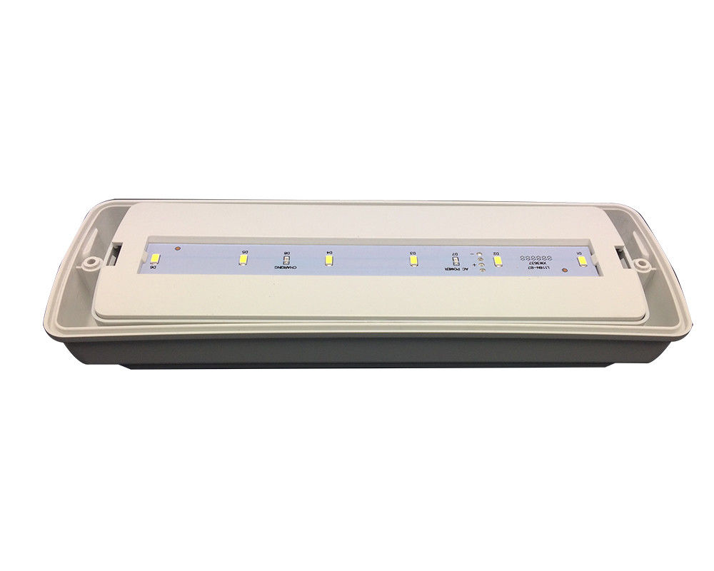 Industrial Pequeno IP65 resistente à água Luz de emergência Localização úmida ao ar livre 3 horas L116N-D