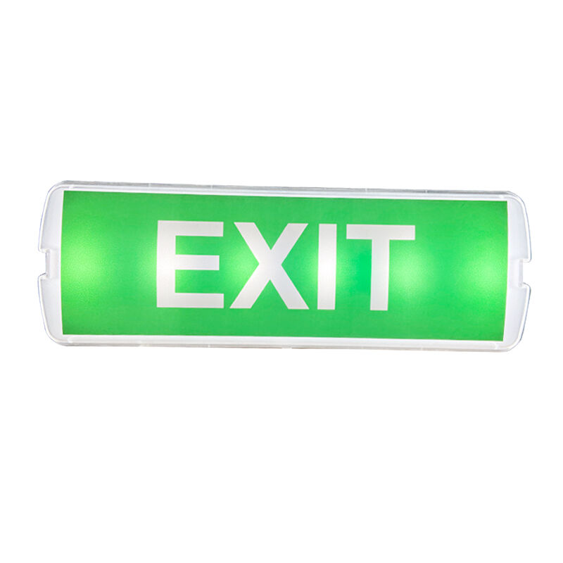 Lâmpada de emergência recarregável de LED 220V montada na superfície com 3 horas de reserva e construção de plástico