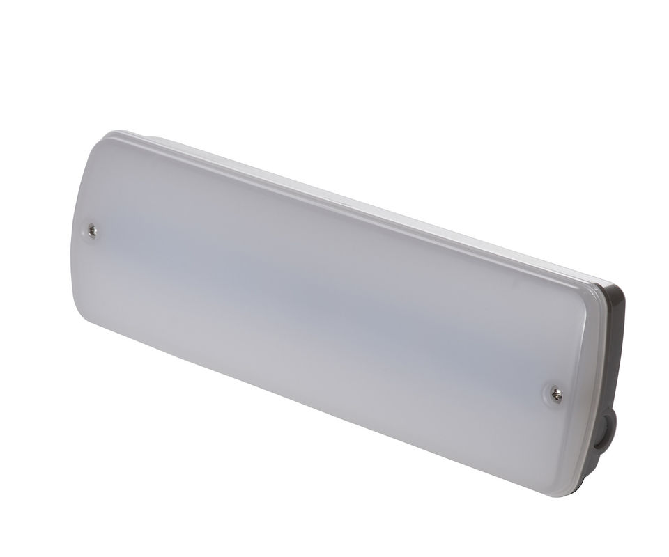 Manutenção Não Manutenção 3W resistente à água Luz de emergência Localização úmida ao ar livre 3 anos Garantia IP65 L121N