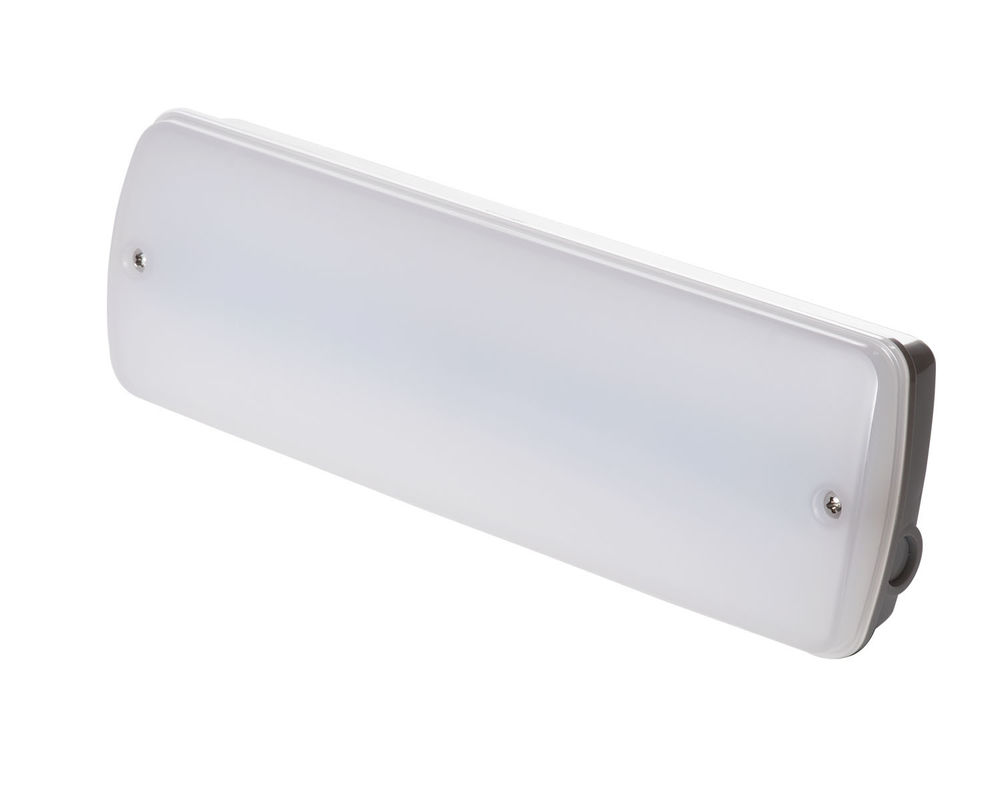 Luz de emergência industrial à prova d'água 220V Localização molhada Exterior com bateria de reserva LED L121N