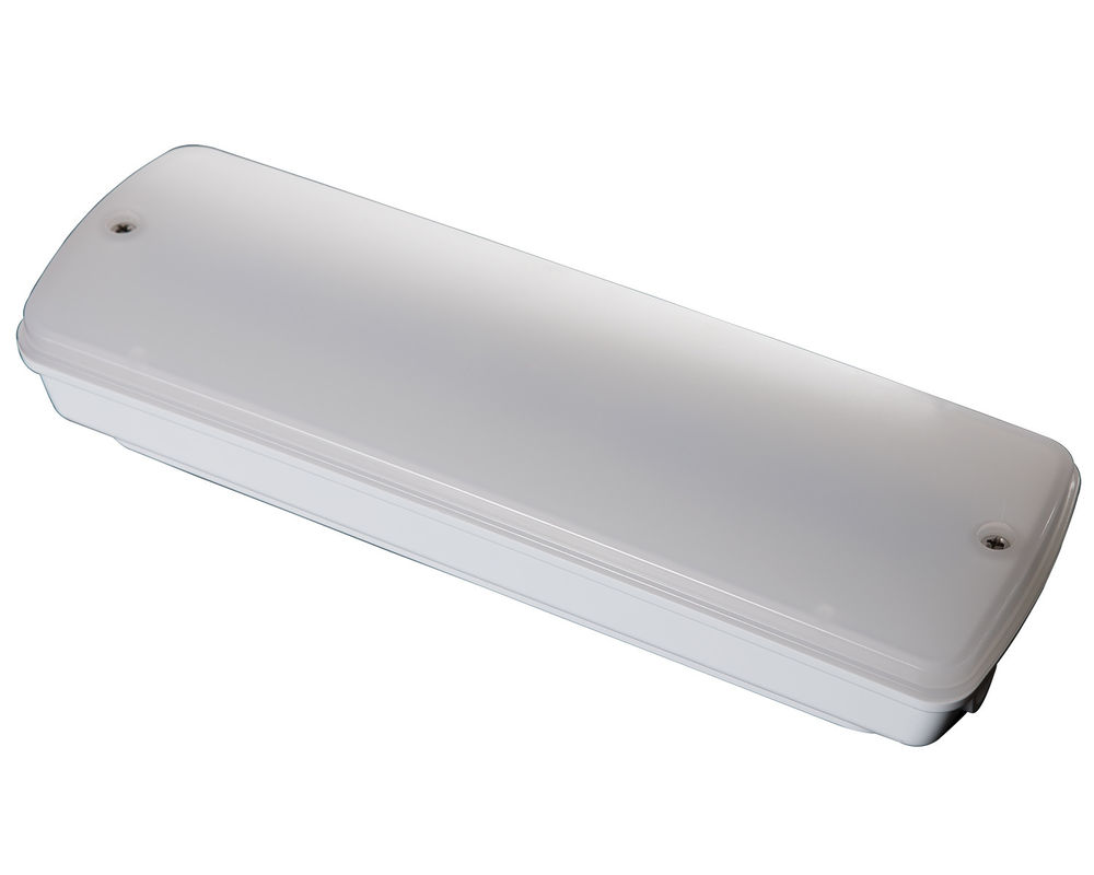 Luz de emergência industrial à prova d'água 220V Localização molhada Exterior com bateria de reserva LED L121N