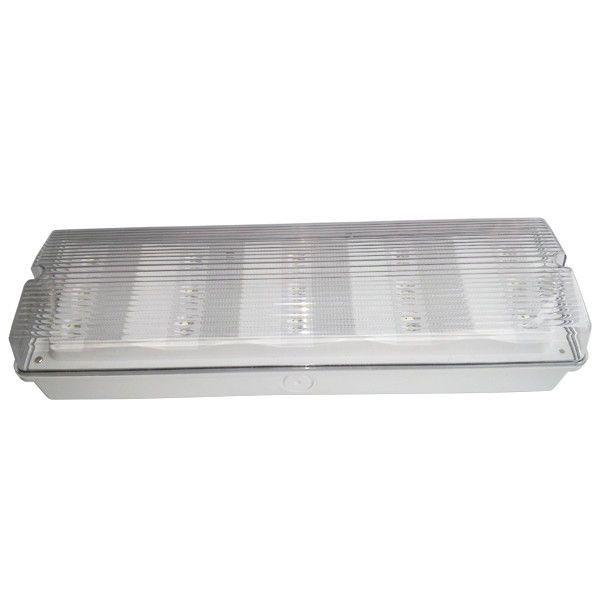 Tecto 120mA LED sem manutenção Luz de emergência à prova d'água Localização molhada ROHS homologado IP65 EL015AMNTI