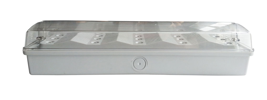Tecto 120mA LED sem manutenção Luz de emergência à prova d'água Localização molhada ROHS homologado IP65 EL015AMNTI